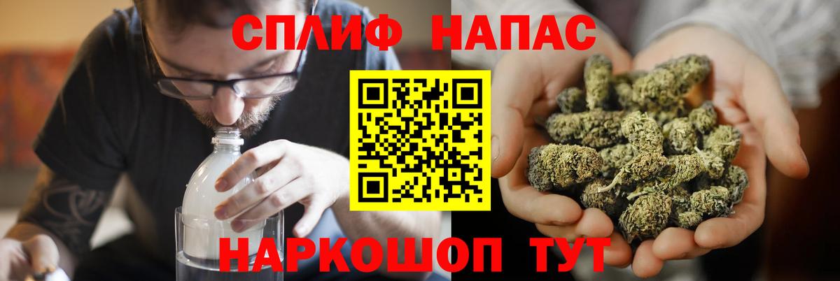 Вязники  Бошки Шишки MAZAR  Каннабис сатива  Вход с VPN  Марихуана сатива 